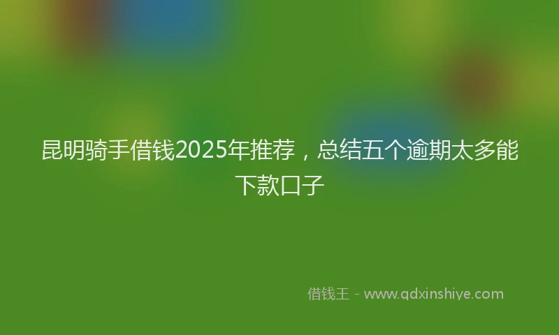 昆明骑手借钱2025年推荐，总结五个逾期太多能下款口子