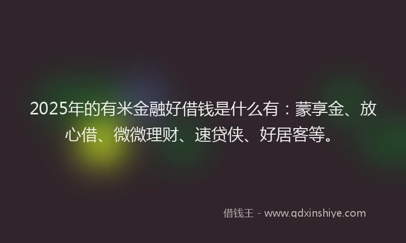 2025年的有米金融好借钱是什么有：蒙享金、放心借、微微理财、速贷侠、好居客等。