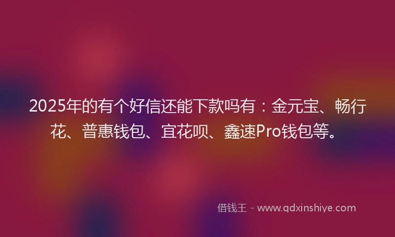 2025年的有个好信还能下款吗有：金元宝、畅行花、普惠钱包、宜花呗、鑫速Pro钱包等。