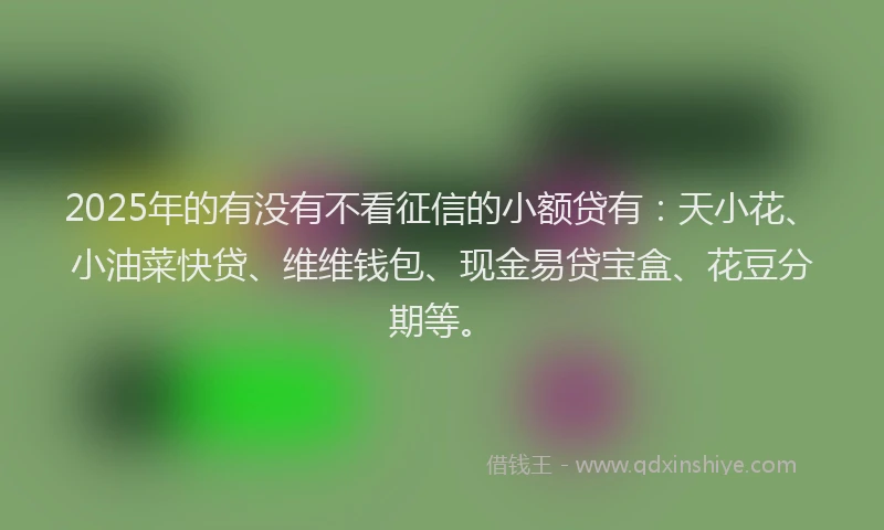 2025年的有没有不看征信的小额贷有：天小花、小油菜快贷、维维钱包、现金易贷宝盒、花豆分期等。