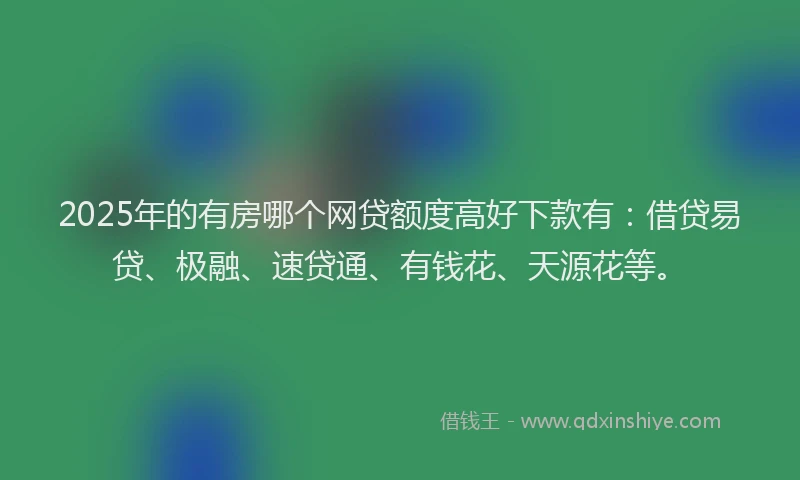 2025年的有房哪个网贷额度高好下款有：借贷易贷、极融、速贷通、有钱花、天源花等。