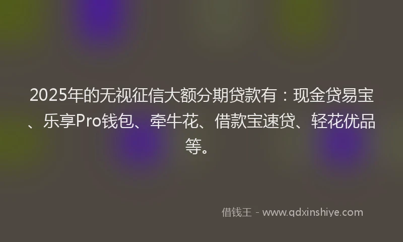 2025年的无视征信大额分期贷款有：现金贷易宝、乐享Pro钱包、牵牛花、借款宝速贷、轻花优品等。