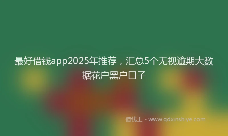 最好借钱app2025年推荐，汇总5个无视逾期大数据花户黑户口子
