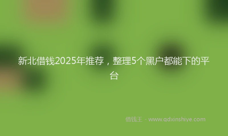 新北借钱2025年推荐，整理5个黑户都能下的平台