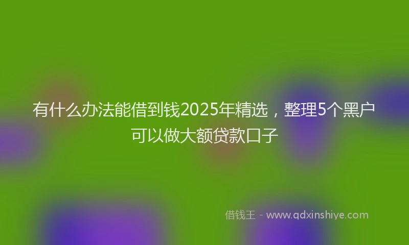 有什么办法能借到钱2025年精选，整理5个黑户可以做大额贷款口子