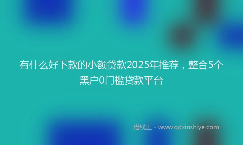 有什么好下款的小额贷款2025年推荐，整合5个黑户0门槛贷款平台