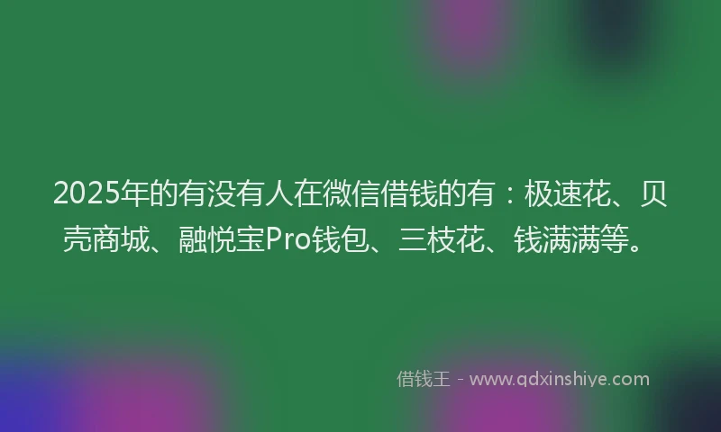 2025年的有没有人在微信借钱的有：极速花、贝壳商城、融悦宝Pro钱包、三枝花、钱满满等。