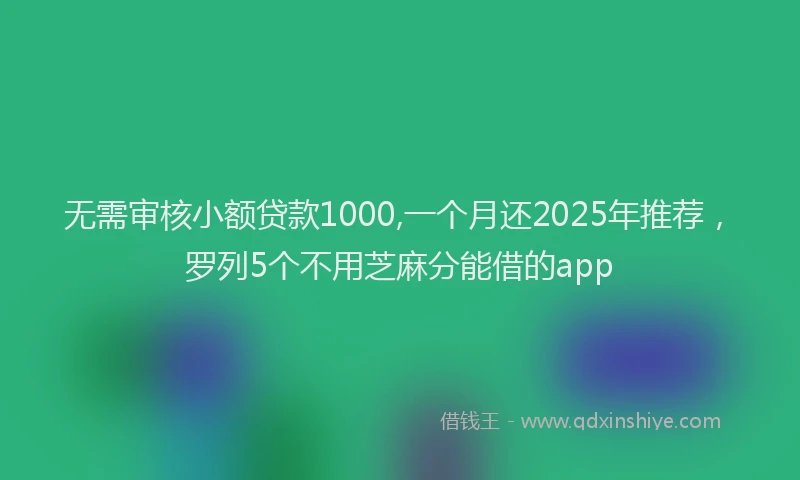 无需审核小额贷款1000,一个月还2025年推荐，罗列5个不用芝麻分能借的app