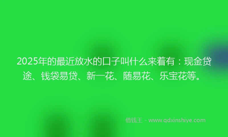 2025年的最近放水的口子叫什么来着有：现金贷途、钱袋易贷、新一花、随易花、乐宝花等。