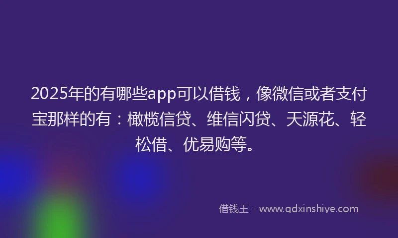 2025年的有哪些app可以借钱，像微信或者支付宝那样的有：橄榄信贷、维信闪贷、天源花、轻松借、优易购等。