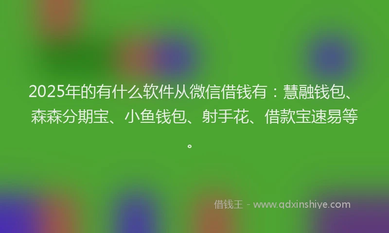 2025年的有什么软件从微信借钱有：慧融钱包、森森分期宝、小鱼钱包、射手花、借款宝速易等。