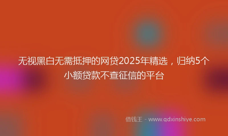 无视黑白无需抵押的网贷2025年精选，归纳5个小额贷款不查征信的平台