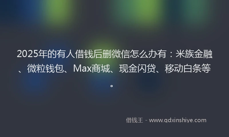 2025年的有人借钱后删微信怎么办有：米族金融、微粒钱包、Max商城、现金闪贷、移动白条等。