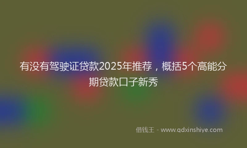 有没有驾驶证贷款2025年推荐，概括5个高能分期贷款口子新秀