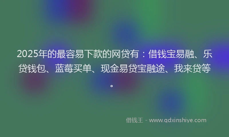 2025年的最容易下款的网贷有：借钱宝易融、乐贷钱包、蓝莓买单、现金易贷宝融途、我来贷等。