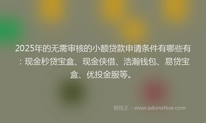 2025年的无需审核的小额贷款申请条件有哪些有：现金秒贷宝盒、现金侠借、浩瀚钱包、易贷宝盒、优投金服等。