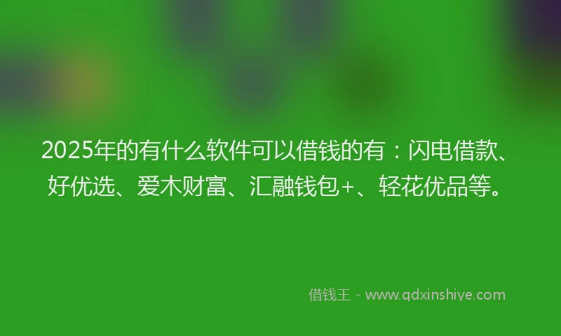 2025年的有什么软件可以借钱的有：闪电借款、好优选、爱木财富、汇融钱包+、轻花优品等。