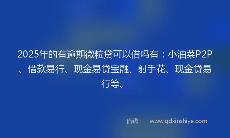 2025年的有逾期微粒贷可以借吗有：小油菜P2P、借款易行、现金易贷宝融、射手花、现金贷易行等。