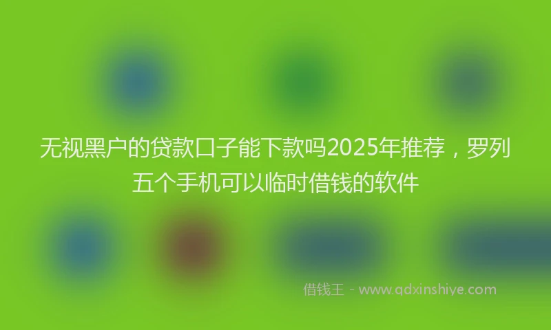 无视黑户的贷款口子能下款吗2025年推荐，罗列五个手机可以临时借钱的软件