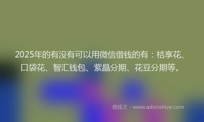 2025年的有没有可以用微信借钱的有：桔享花、口袋花、智汇钱包、紫晶分期、花豆分期等。
