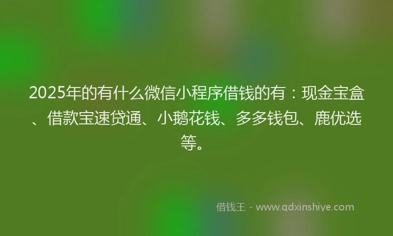 2025年的有什么微信小程序借钱的有：现金宝盒、借款宝速贷通、小鹅花钱、多多钱包、鹿优选等。