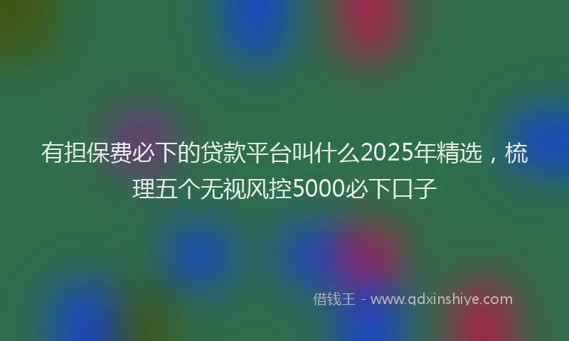 有担保费必下的贷款平台叫什么2025年精选，梳理五个无视风控5000必下口子