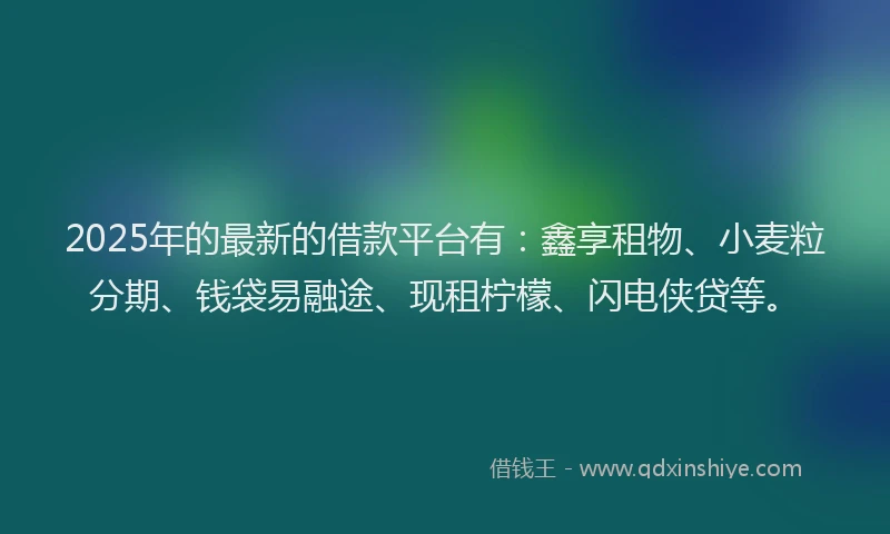 2025年的最新的借款平台有：鑫享租物、小麦粒分期、钱袋易融途、现租柠檬、闪电侠贷等。