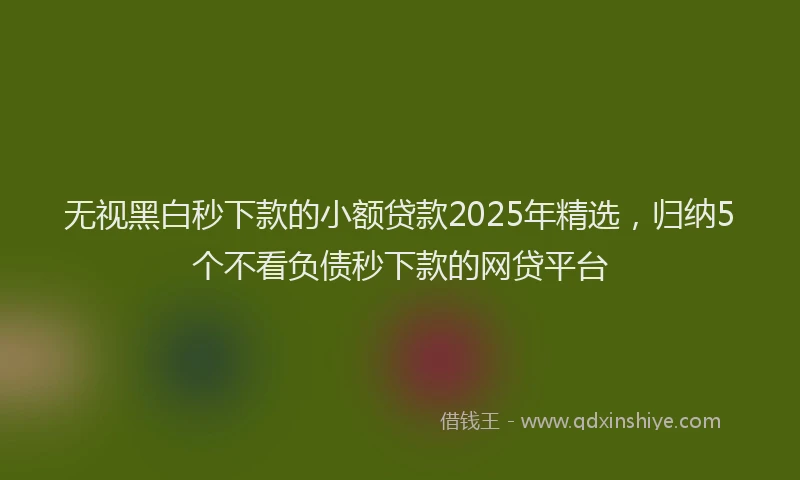 无视黑白秒下款的小额贷款2025年精选，归纳5个不看负债秒下款的网贷平台