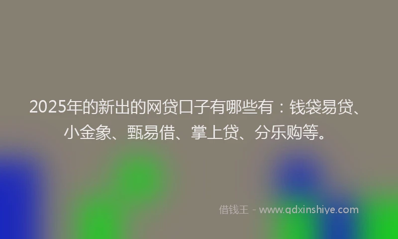 2025年的新出的网贷口子有哪些有：钱袋易贷、小金象、甄易借、掌上贷、分乐购等。