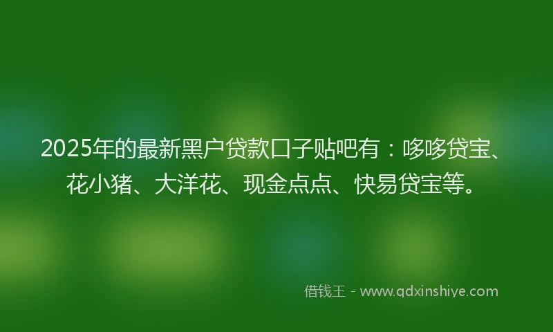 2025年的最新黑户贷款口子贴吧有：哆哆贷宝、花小猪、大洋花、现金点点、快易贷宝等。