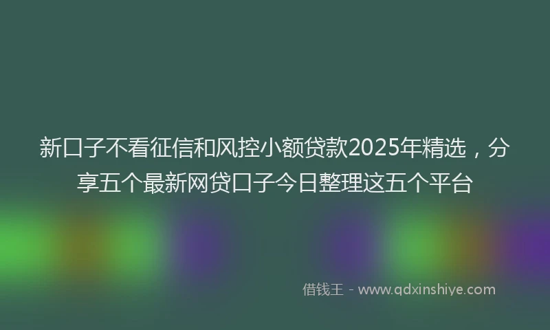 新口子不看征信和风控小额贷款2025年精选，分享五个最新网贷口子今日整理这五个平台