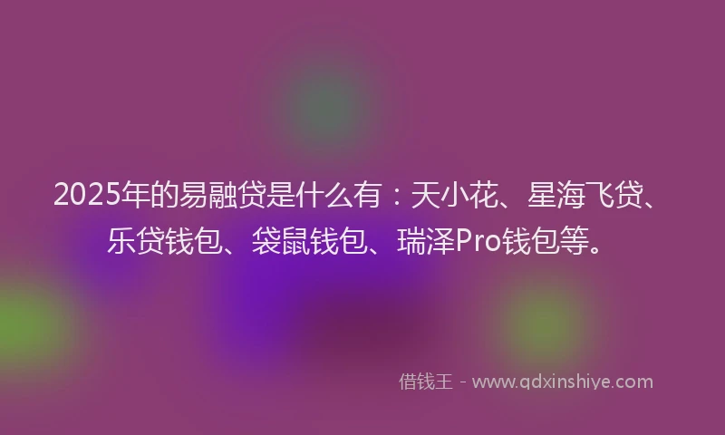 2025年的易融贷是什么有：天小花、星海飞贷、乐贷钱包、袋鼠钱包、瑞泽Pro钱包等。