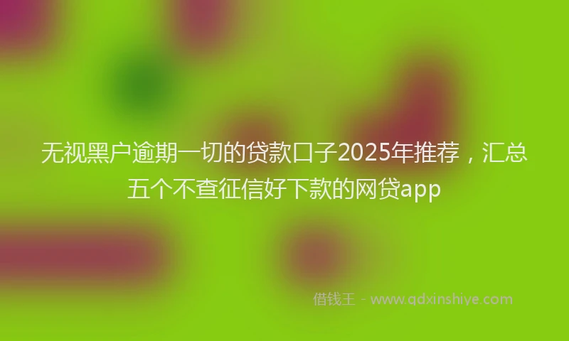 无视黑户逾期一切的贷款口子2025年推荐，汇总五个不查征信好下款的网贷app