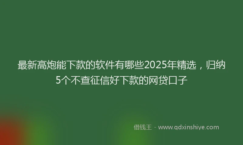 最新高炮能下款的软件有哪些2025年精选，归纳5个不查征信好下款的网贷口子