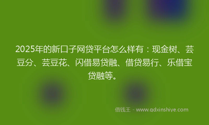 2025年的新口子网贷平台怎么样有：现金树、芸豆分、芸豆花、闪借易贷融、借贷易行、乐借宝贷融等。