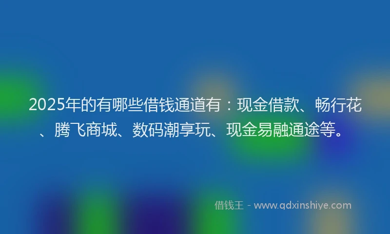2025年的有哪些借钱通道有：现金借款、畅行花、腾飞商城、数码潮享玩、现金易融通途等。