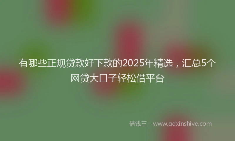 有哪些正规贷款好下款的2025年精选，汇总5个网贷大口子轻松借平台