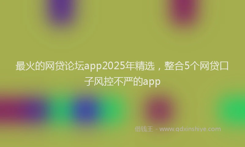 最火的网贷论坛app2025年精选，整合5个网贷口子风控不严的app