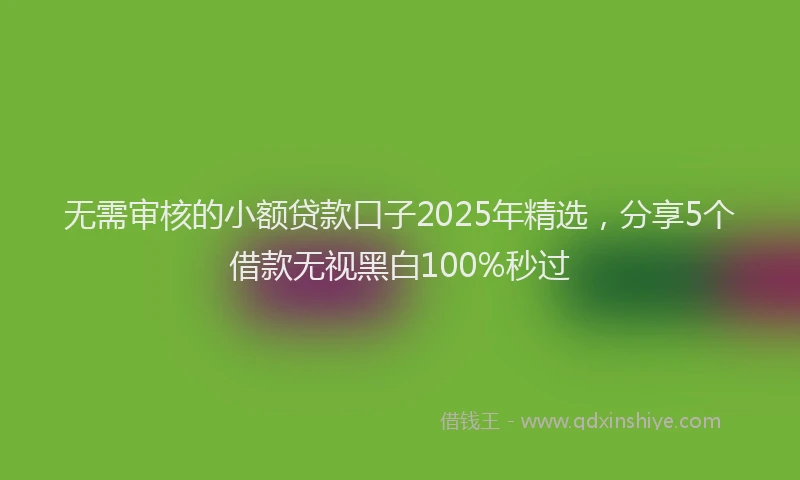 无需审核的小额贷款口子2025年精选，分享5个借款无视黑白100%秒过