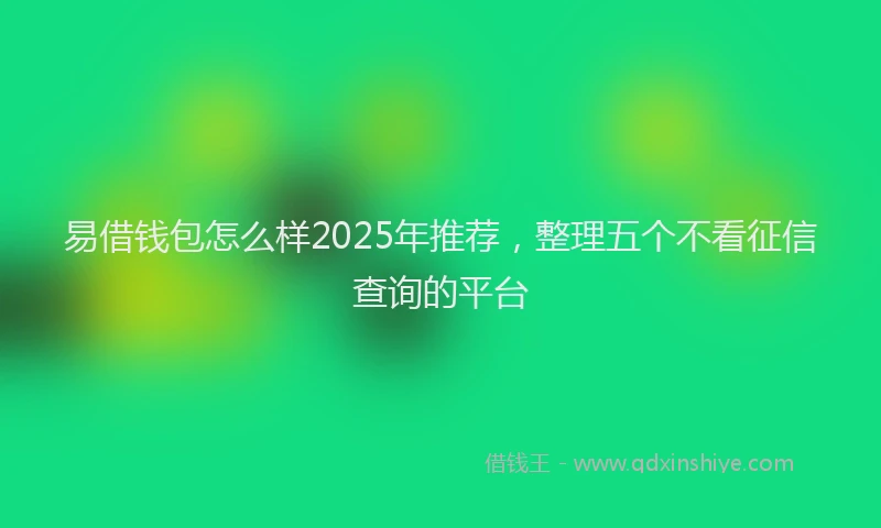易借钱包怎么样2025年推荐，整理五个不看征信查询的平台