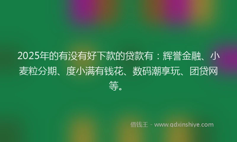 2025年的有没有好下款的贷款有：辉誉金融、小麦粒分期、度小满有钱花、数码潮享玩、团贷网等。