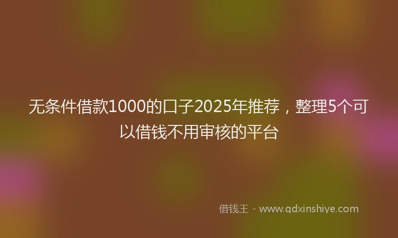 无条件借款1000的口子2025年推荐，整理5个可以借钱不用审核的平台