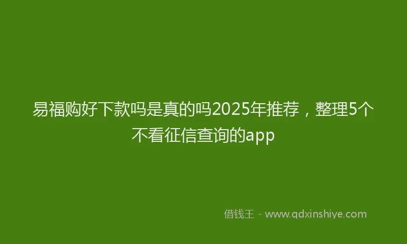 易福购好下款吗是真的吗2025年推荐，整理5个不看征信查询的app