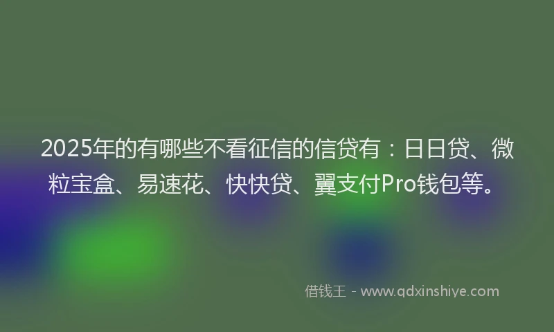 2025年的有哪些不看征信的信贷有：日日贷、微粒宝盒、易速花、快快贷、翼支付Pro钱包等。