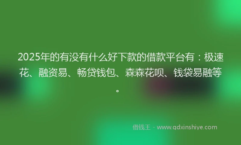 2025年的有没有什么好下款的借款平台有：极速花、融资易、畅贷钱包、森森花呗、钱袋易融等。
