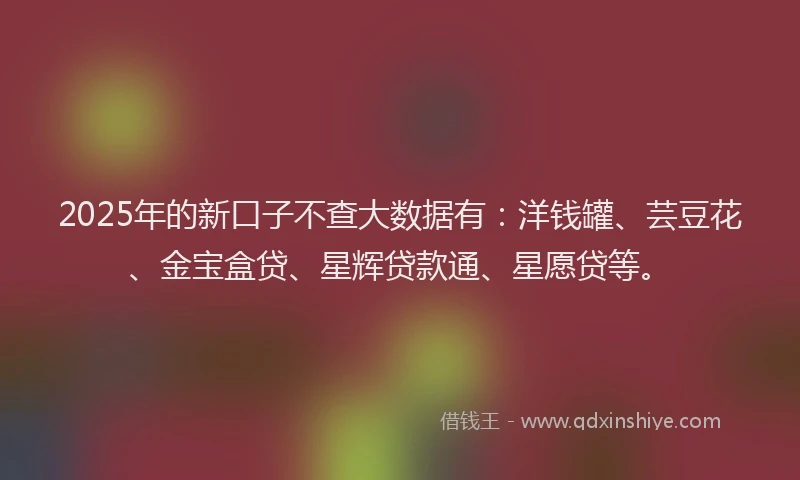 2025年的新口子不查大数据有：洋钱罐、芸豆花、金宝盒贷、星辉贷款通、星愿贷等。