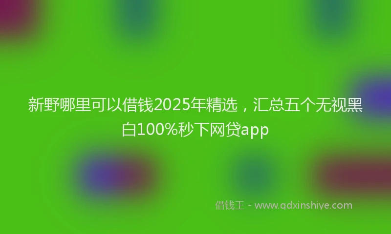 新野哪里可以借钱2025年精选，汇总五个无视黑白100%秒下网贷app