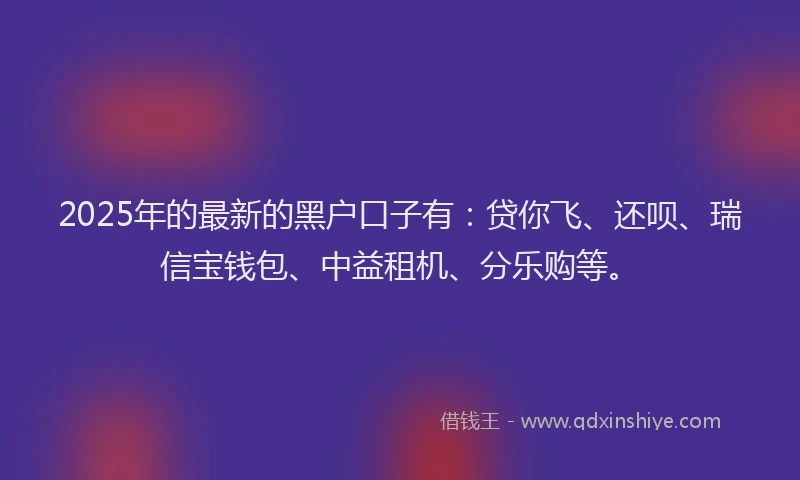 2025年的最新的黑户口子有：贷你飞、还呗、瑞信宝钱包、中益租机、分乐购等。