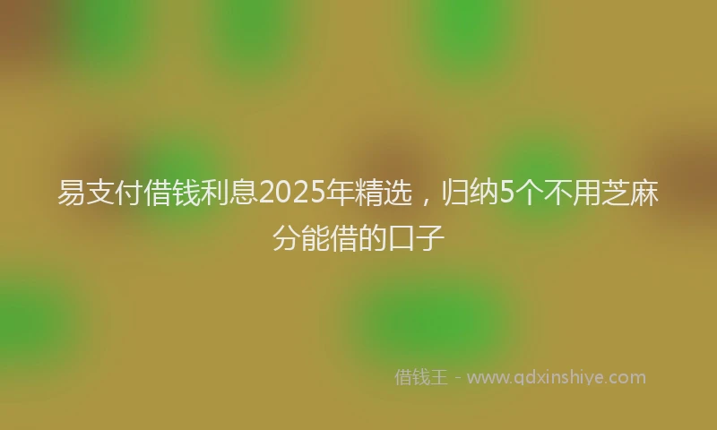 易支付借钱利息2025年精选，归纳5个不用芝麻分能借的口子