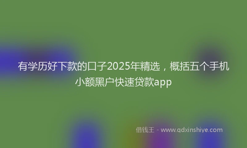 有学历好下款的口子2025年精选，概括五个手机小额黑户快速贷款app